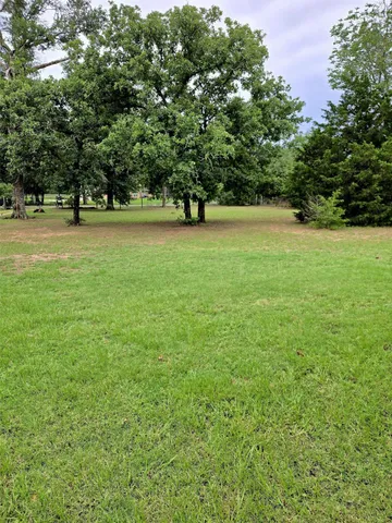 a green field with lots of trees