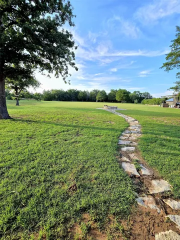 a view of a park with trees and grass
