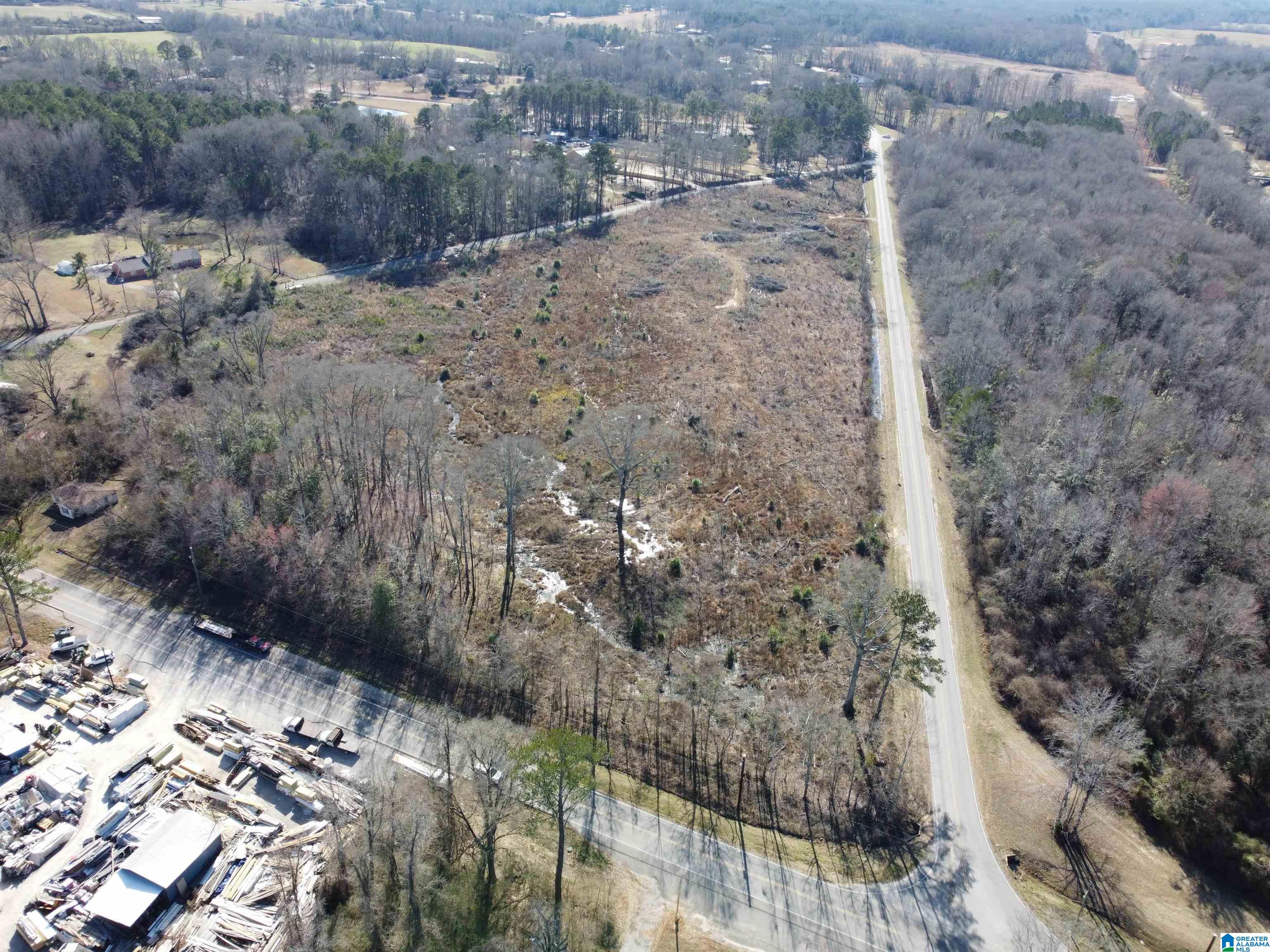 0 Kincheon Road Clanton, AL 35045 - Photo 28 of 45