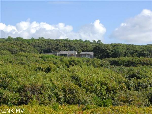 41 Tilton Road Chilmark, MA 02535 - Photo 20 of 27 House from Beach