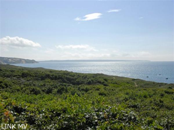 41 Tilton Road Chilmark, MA 02535 - Photo 7 of 27 Spring Point Coastline