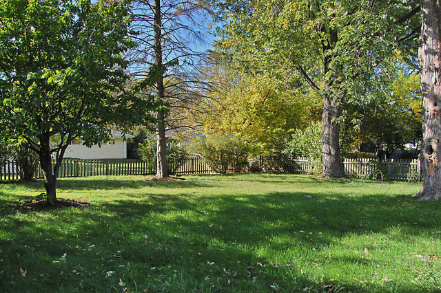 5 Crescent Road Lake Zurich, IL 60047 - Photo 6 of 8 a big yard with large trees
