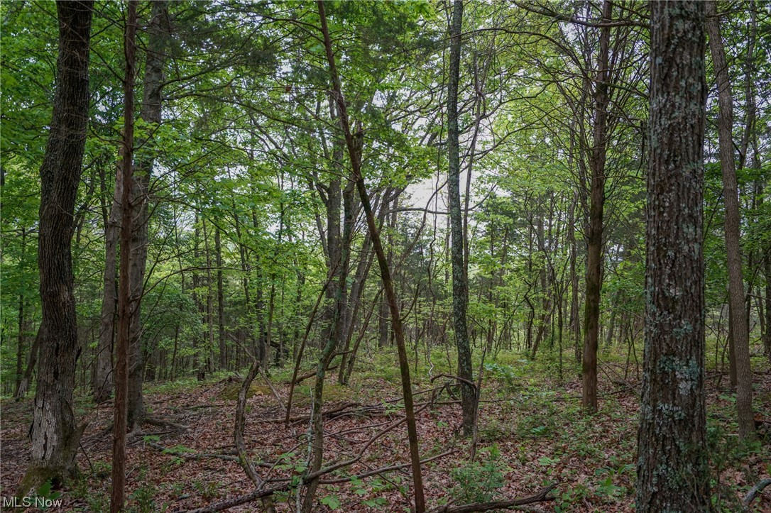 Bentonville Rd Union West Union, OH 45693 - Photo 21 of 35 Gallery Image 21