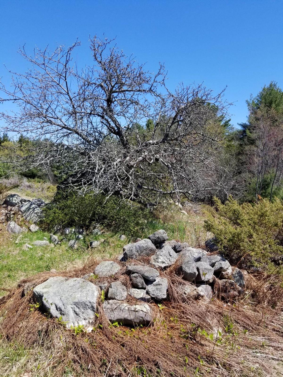 484 Boothby Road Livermore, ME 04253 - Photo 27 of 28 20190509_122738