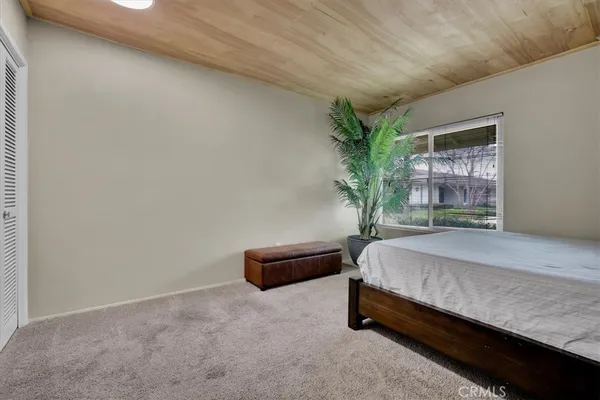 a view of a backyard with plants and tub