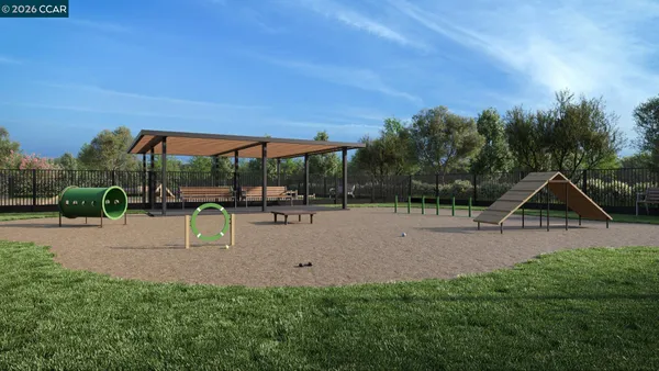 a view of a park and trees with a big yard