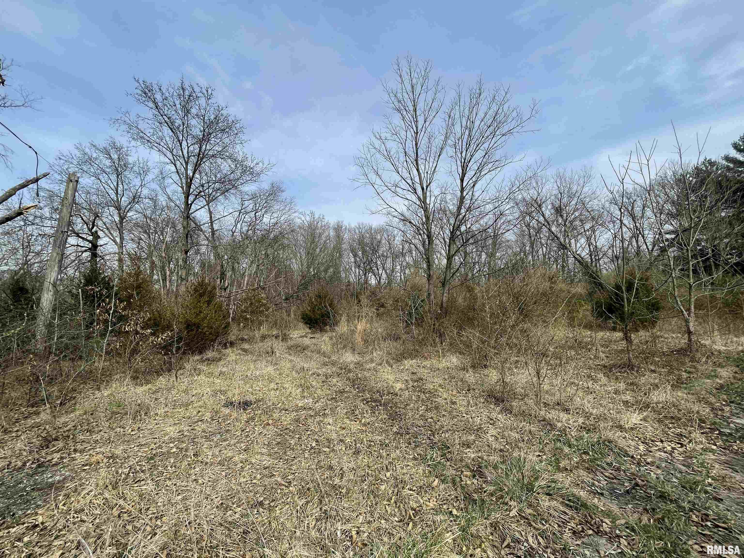 2610 Old 51 Road Centralia, IL 62801 - Photo 3 of 27