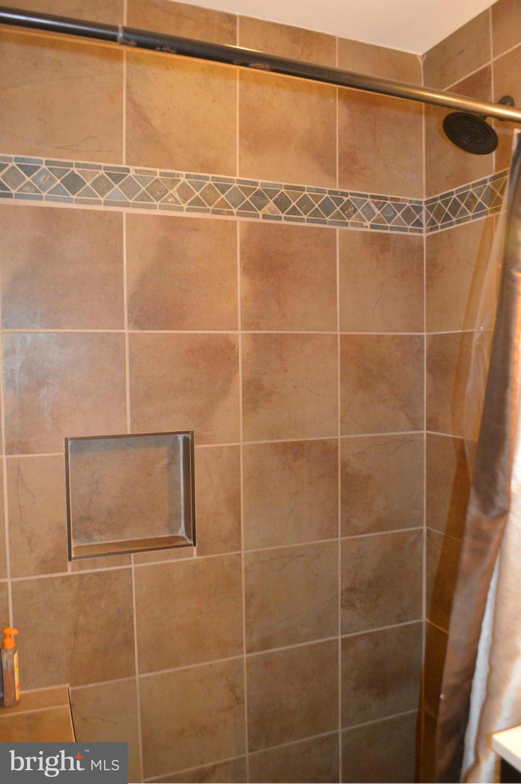 1613 Seward Road Chester, MD 21619 - Photo 15 of 21 Bath (Master)