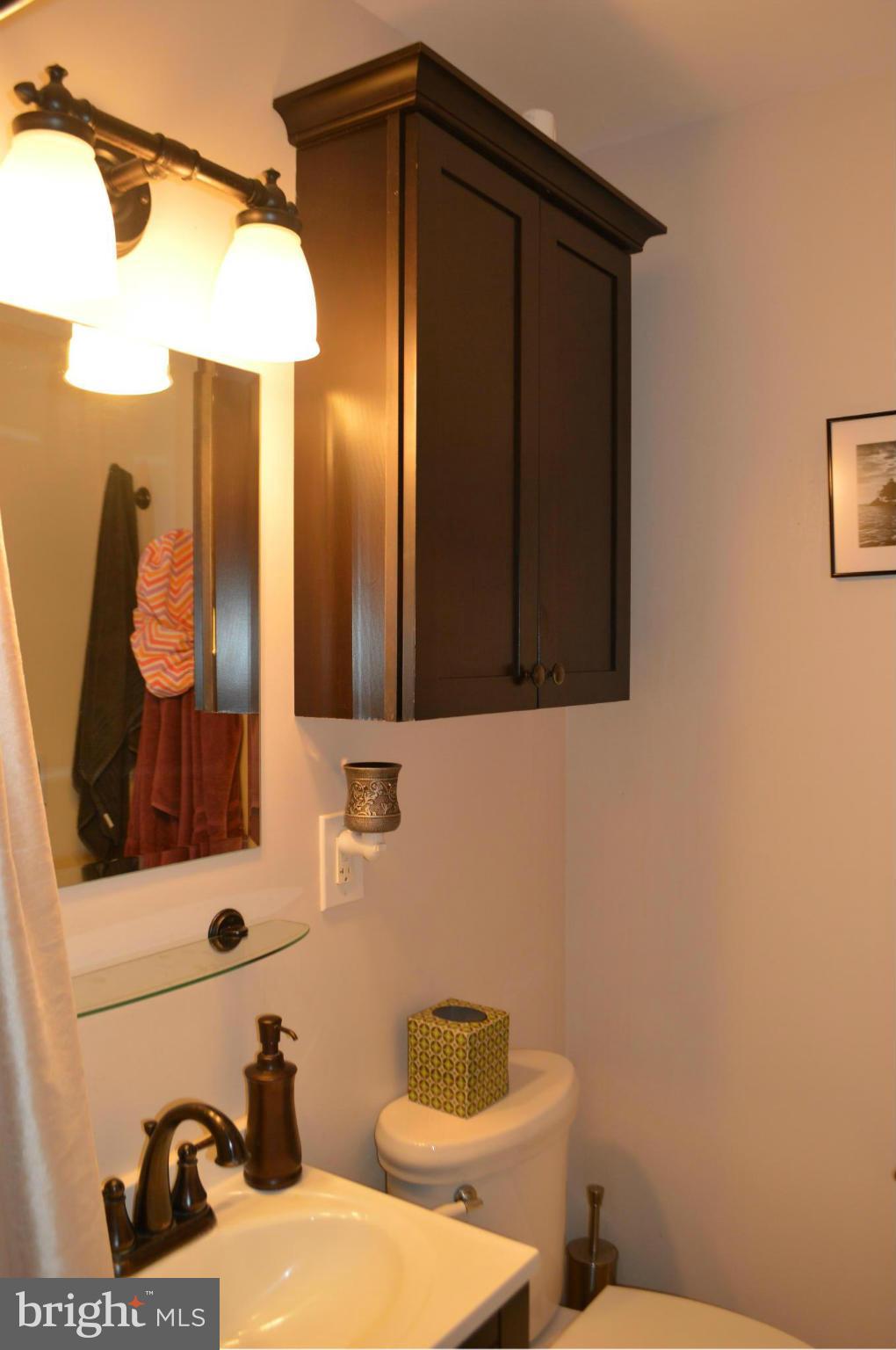 1613 Seward Road Chester, MD 21619 - Photo 17 of 21 Bath (Master)