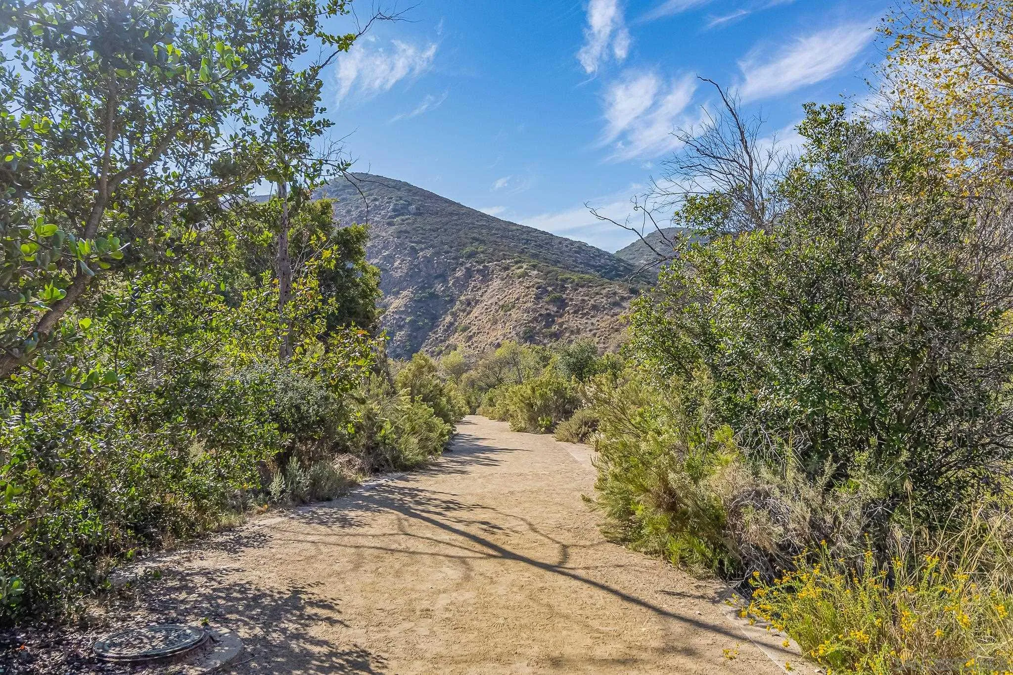 7467 Mission Gorge Road, Unit SPC 291 Santee, CA 92071 - Photo 38 of 40 a view of a pathway both side of yard
