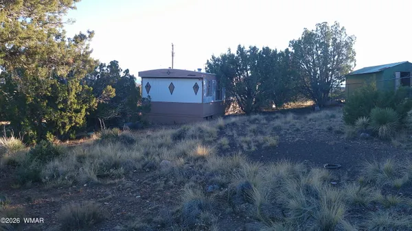 a view of a dry yard with trees