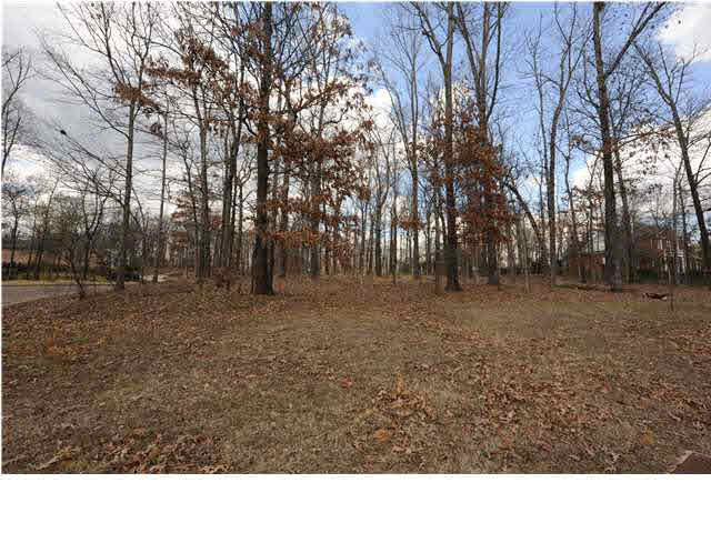 131 Bridgewater Crossing, Unit 33 Ridgeland, MS 39157 - Photo 1 of 2 Photo 1