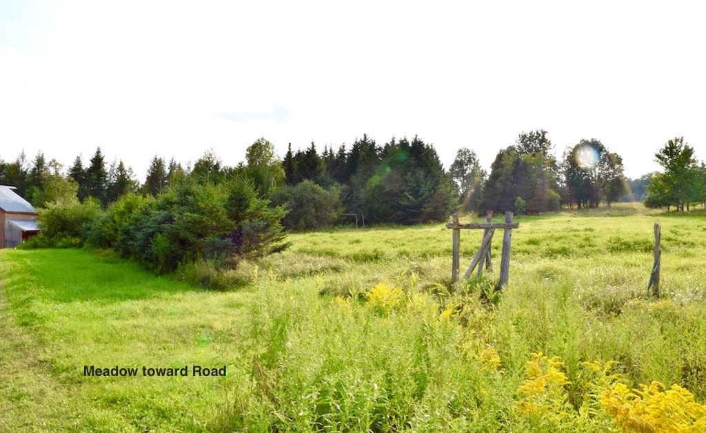 2715 Chilafoux Road Brownington, VT 05860 - Photo 24 of 29