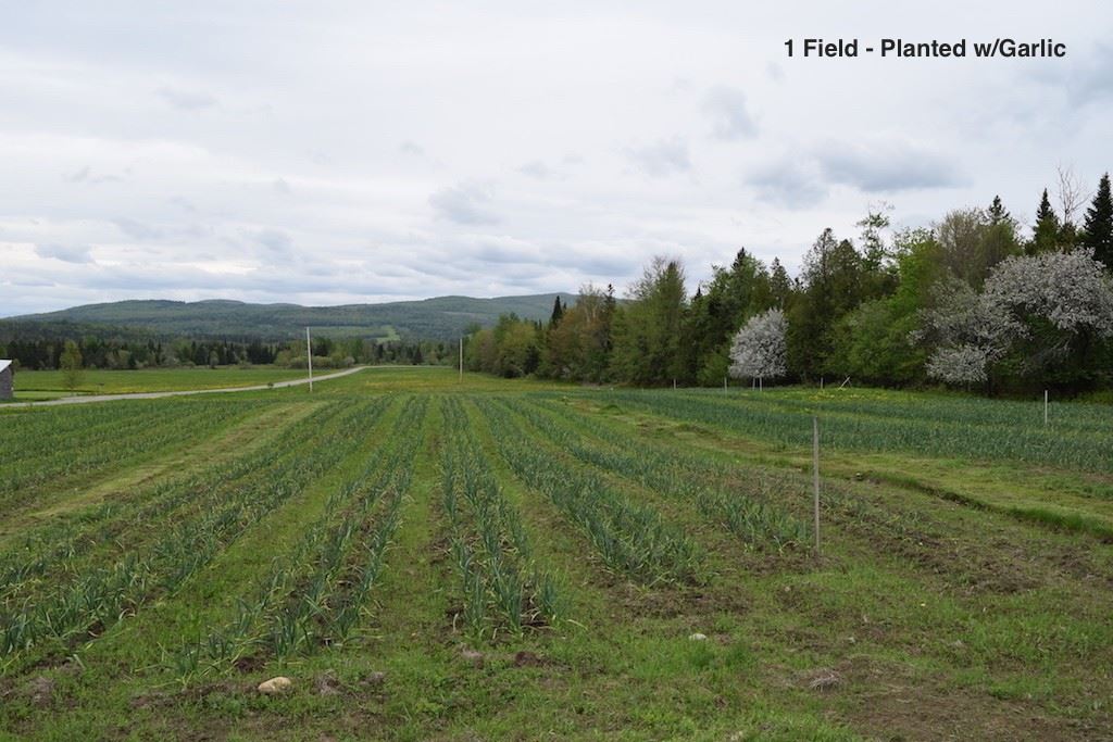 2715 Chilafoux Road Brownington, VT 05860 - Photo 26 of 29