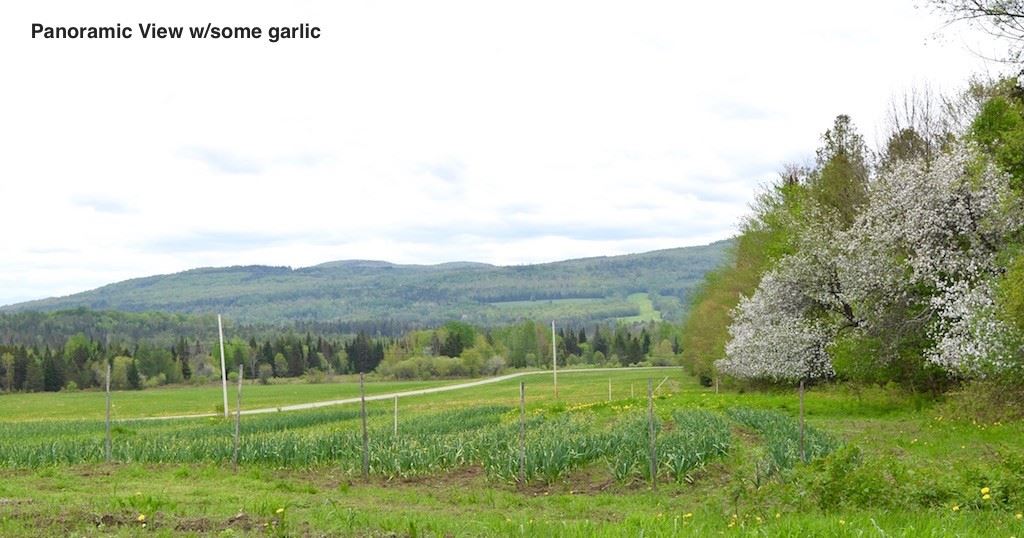 2715 Chilafoux Road Brownington, VT 05860 - Photo 27 of 29