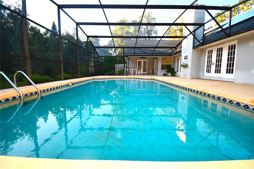 611 Old Eustis Road Mount Dora, FL 32757 - Photo 36 of 45 a view of a swimming pool with a yard