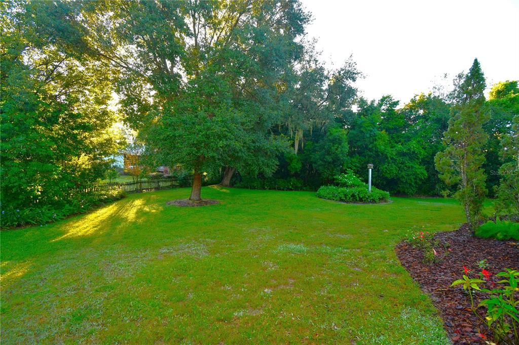 611 Old Eustis Road Mount Dora, FL 32757 - Photo 45 of 45 a backyard of a house with lots of green space