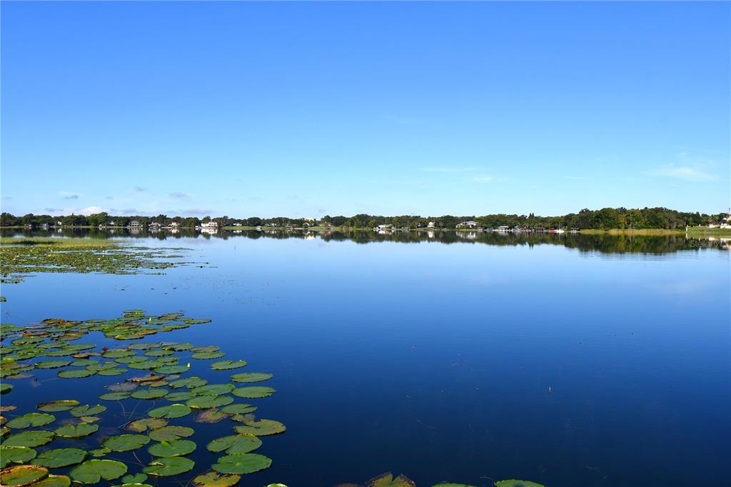 611 Old Eustis Road Mount Dora, FL 32757 - Photo 6 of 45 a view of a lake with houses in the back
