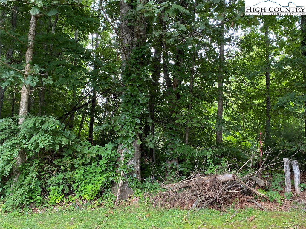 2316 Old Barrett Road Ennice, NC 28623 - Photo 41 of 47