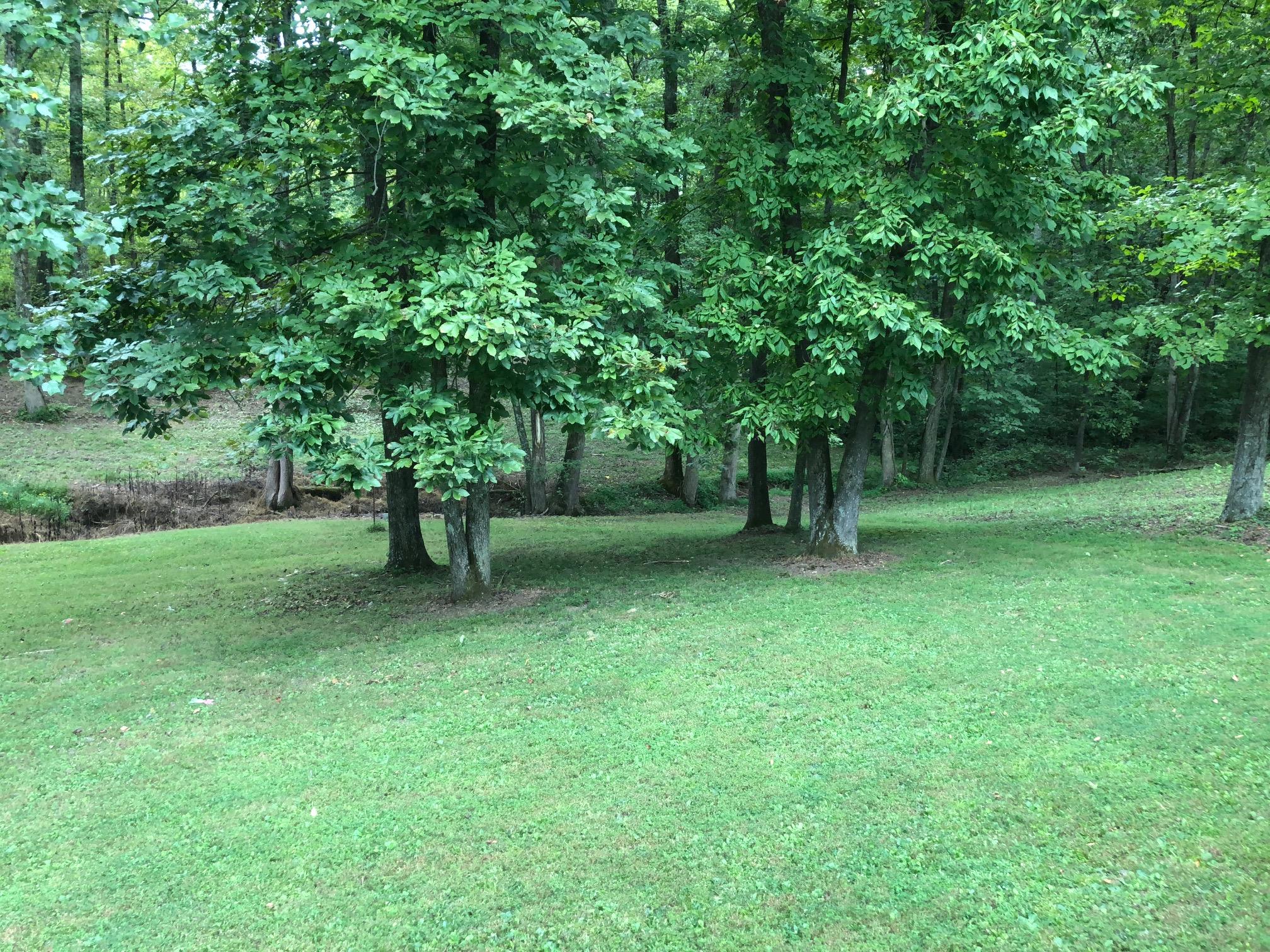 945 Keytown Road Portland, TN 37148 - Photo 2 of 21