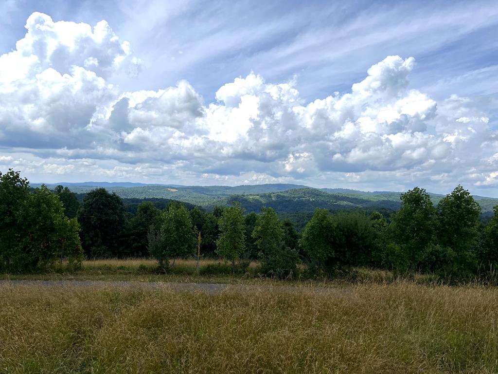 Tbd Silver Leaf Road Dugspur, VA 24325 - Photo 17 of 19 Gallery Image 17