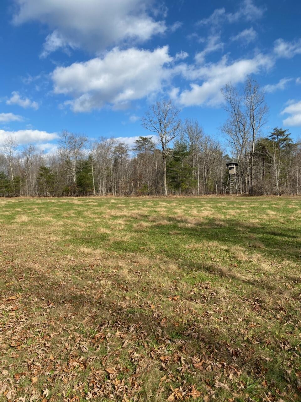 0 Wash Pelfrey Road Spring City, TN 37381 - Photo 9 of 20 Gallery Image 9