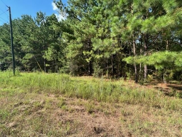 0 Rockhole Bridge Road Florala, AL 36442 - Photo 3 of 7 Gallery Image 3