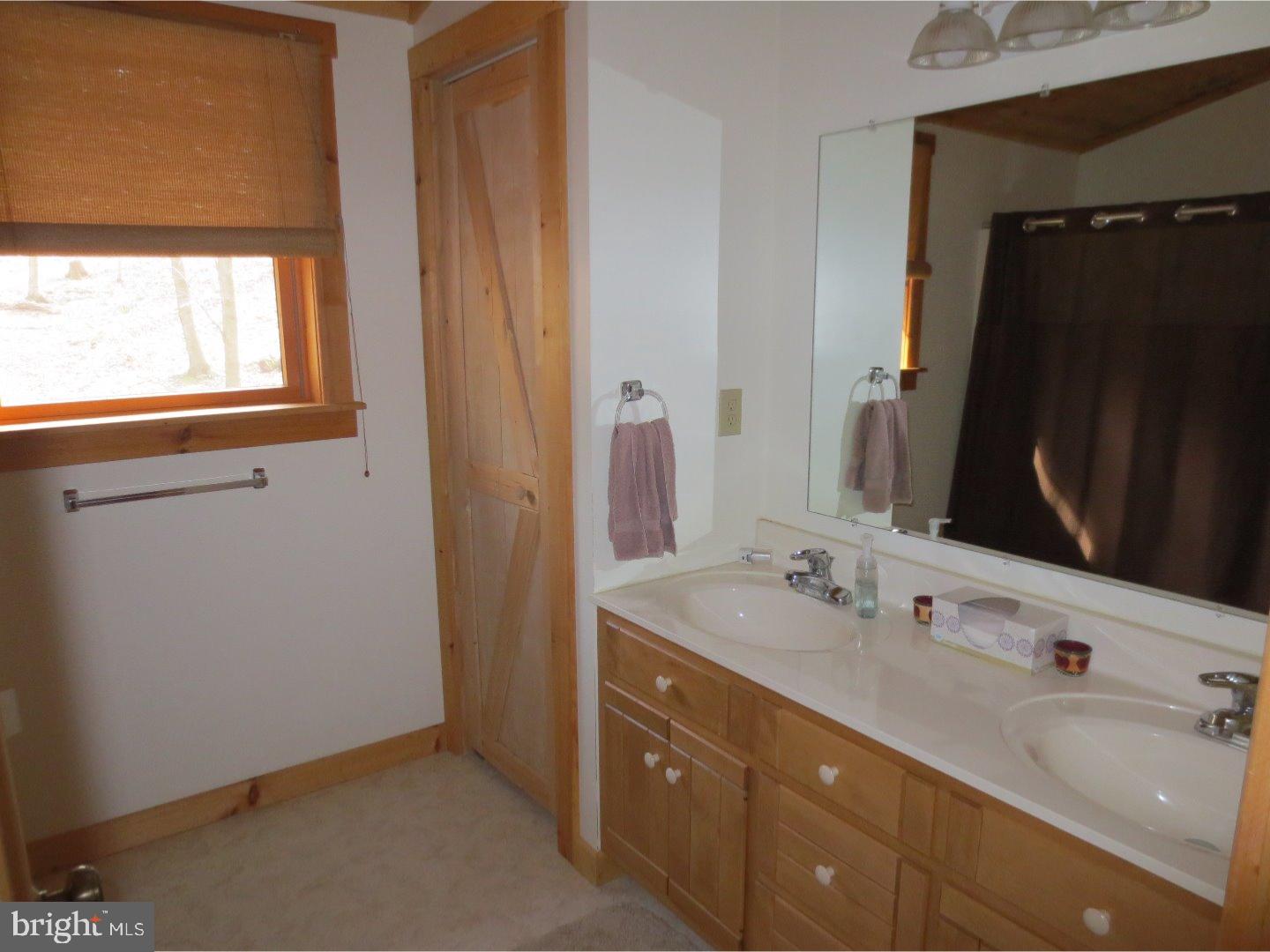 205 Laurel Ridge Road Reinholds, PA 17569 - Photo 12 of 25 Master Bathroom