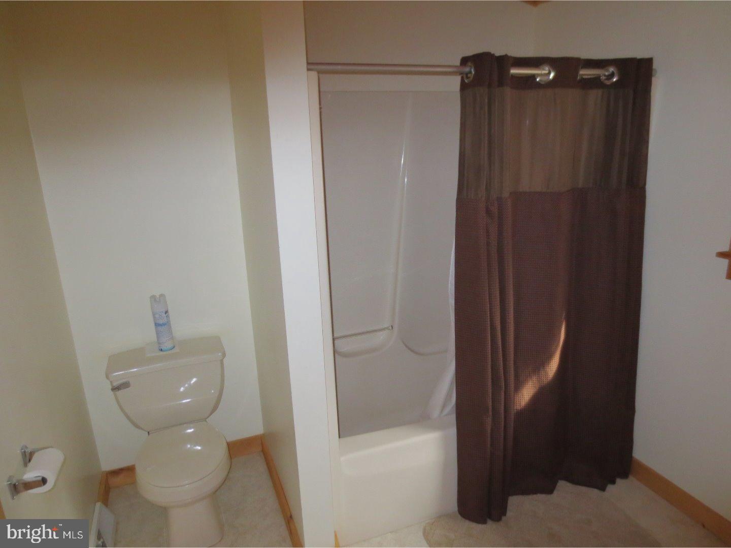 205 Laurel Ridge Road Reinholds, PA 17569 - Photo 13 of 25 Master Bathroom