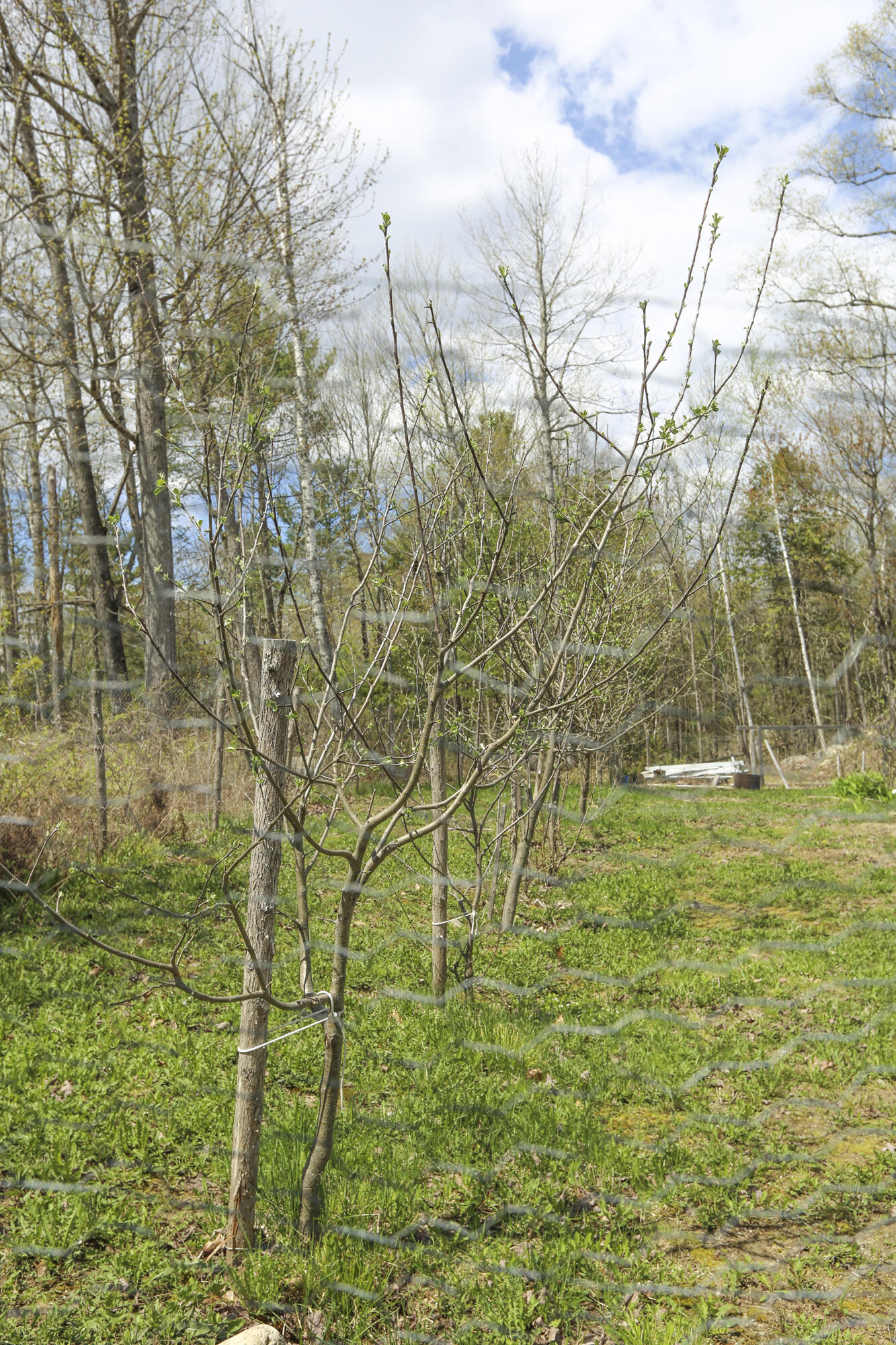 47 Bonne Terre Road Belfast, ME 04915 - Photo 39 of 53 47Bonneterre-39