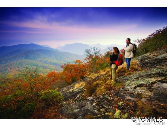 Lot 139 Boar Ridge Road Sylva, NC 28779 - Photo 11 of 12