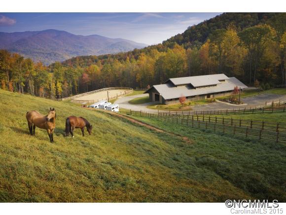 Lot 139 Boar Ridge Road Sylva, NC 28779 - Photo 7 of 12