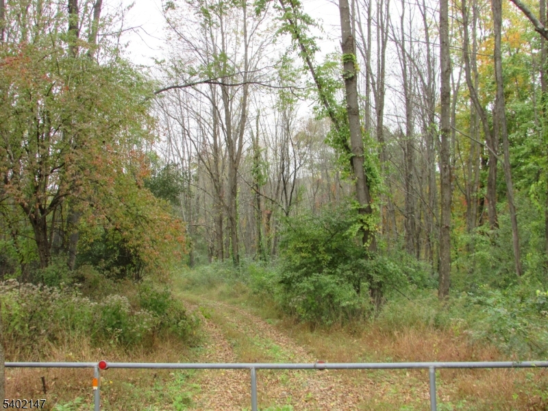 0 Clark Road Sussex, NJ 07461 - Photo 3 of 16