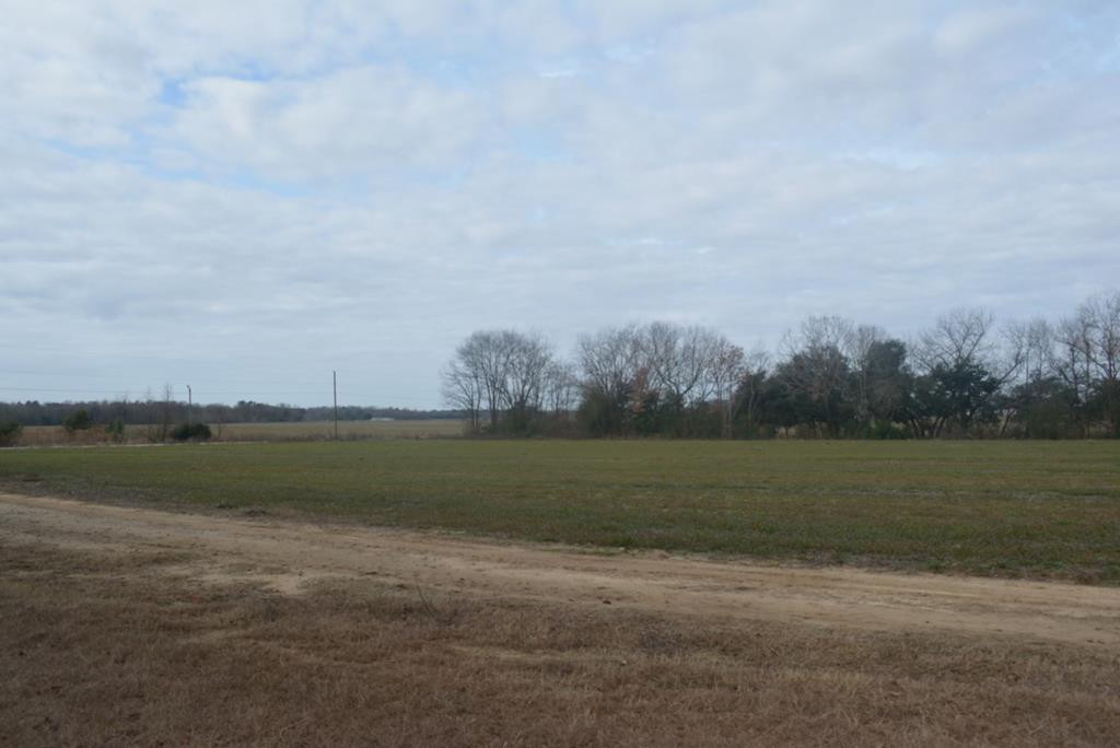 3210 Red Hill Road Bishopville, SC 29010 - Photo 22 of 23