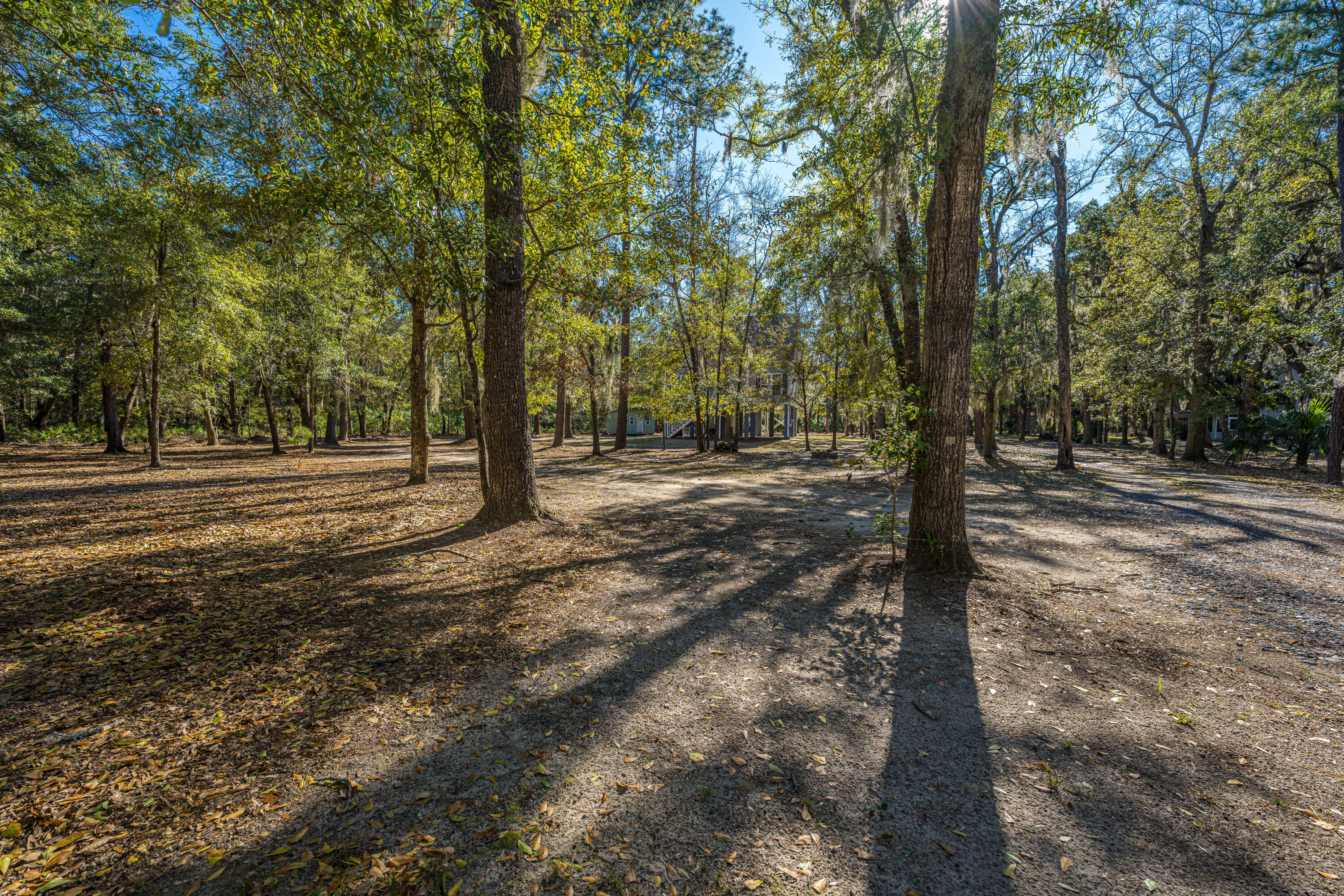 8990 Palmetto Road Edisto Island, SC 29438 - Photo 4 of 58 8990PalmettoRd004