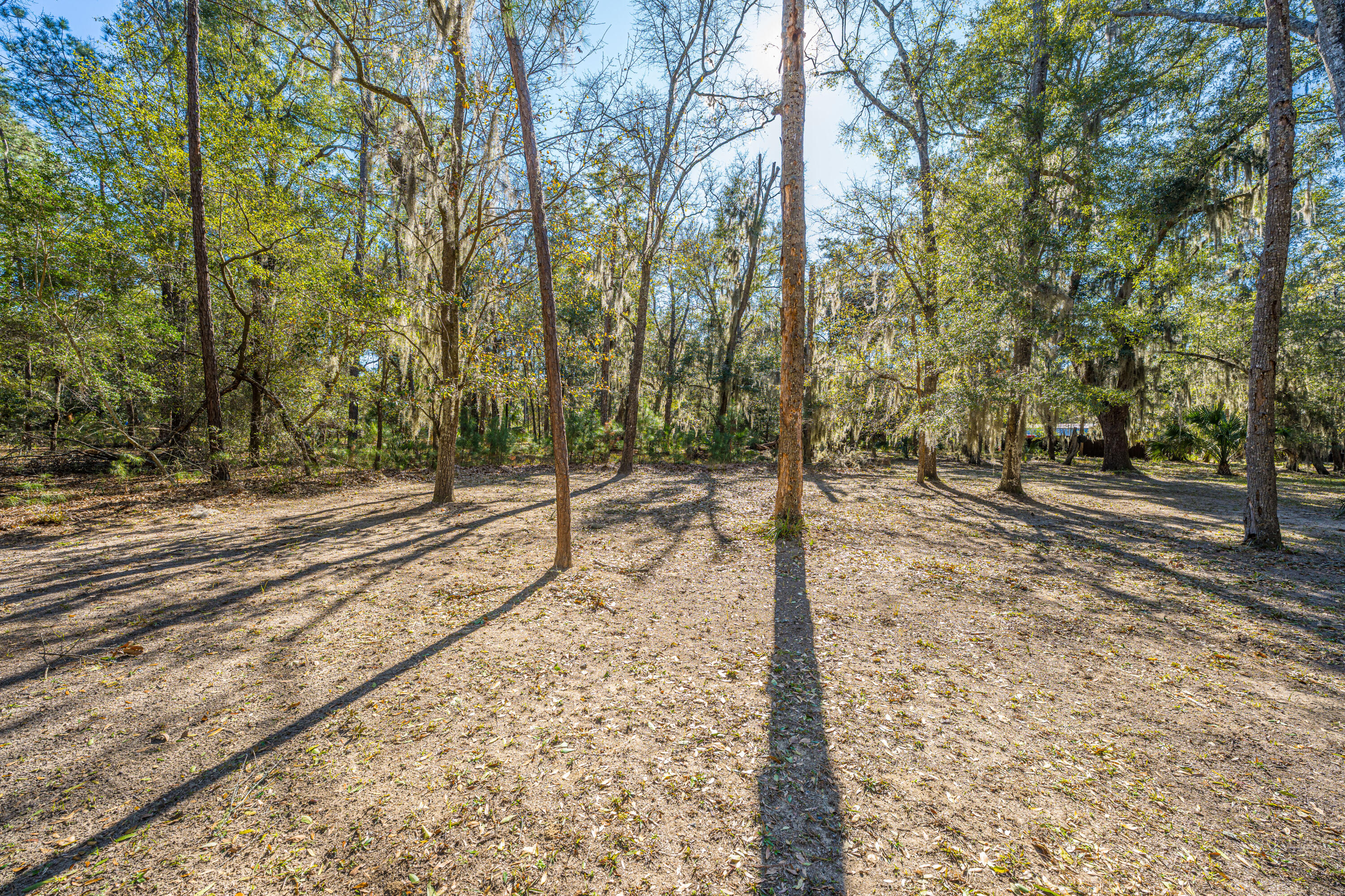 8990 Palmetto Road Edisto Island, SC 29438 - Photo 42 of 58 8990PalmettoRd043