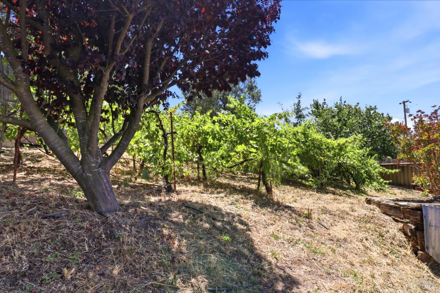 9160 Water Road Cotati, CA 94931 - Photo 34 of 45 Gallery Image 34