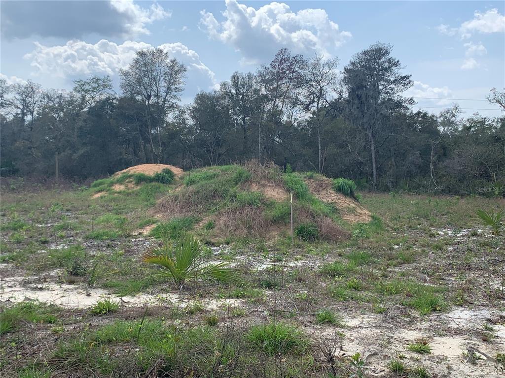 0 Southwest 33rd Court Road Ocala, FL 34473 - Photo 1 of 1 Gallery Image 1