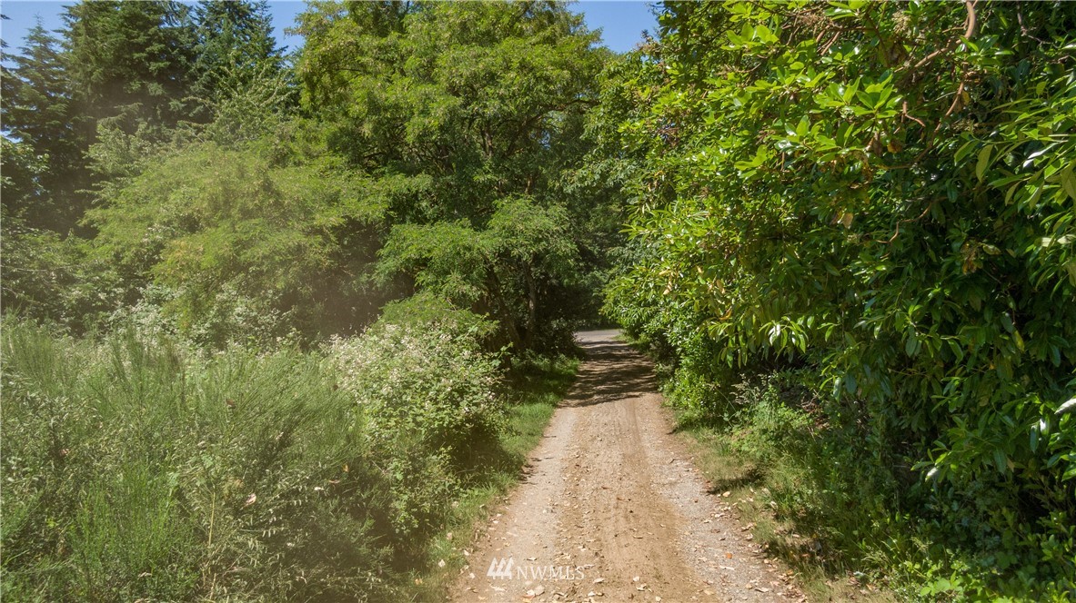 -xxx Ridge Road Southwest Vashon, WA 98070 - Photo 1 of 1 a view of a pathway both side of yard