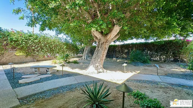 a view of a backyard with table and chairs potted plants and large tree