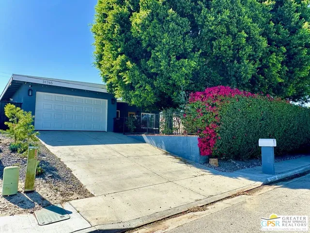a view of a backyard with potted plants