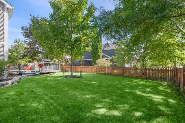a view of a backyard with plants and a garden