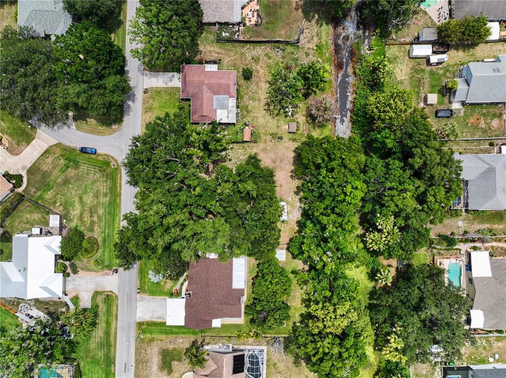 22244 Shoreside Drive Land O' Lakes, FL 34639 - Photo 3 of 8