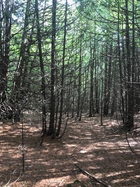 Lot 2 West Meadow Road Fish Creek, WI 54212 - Photo 15 of 40