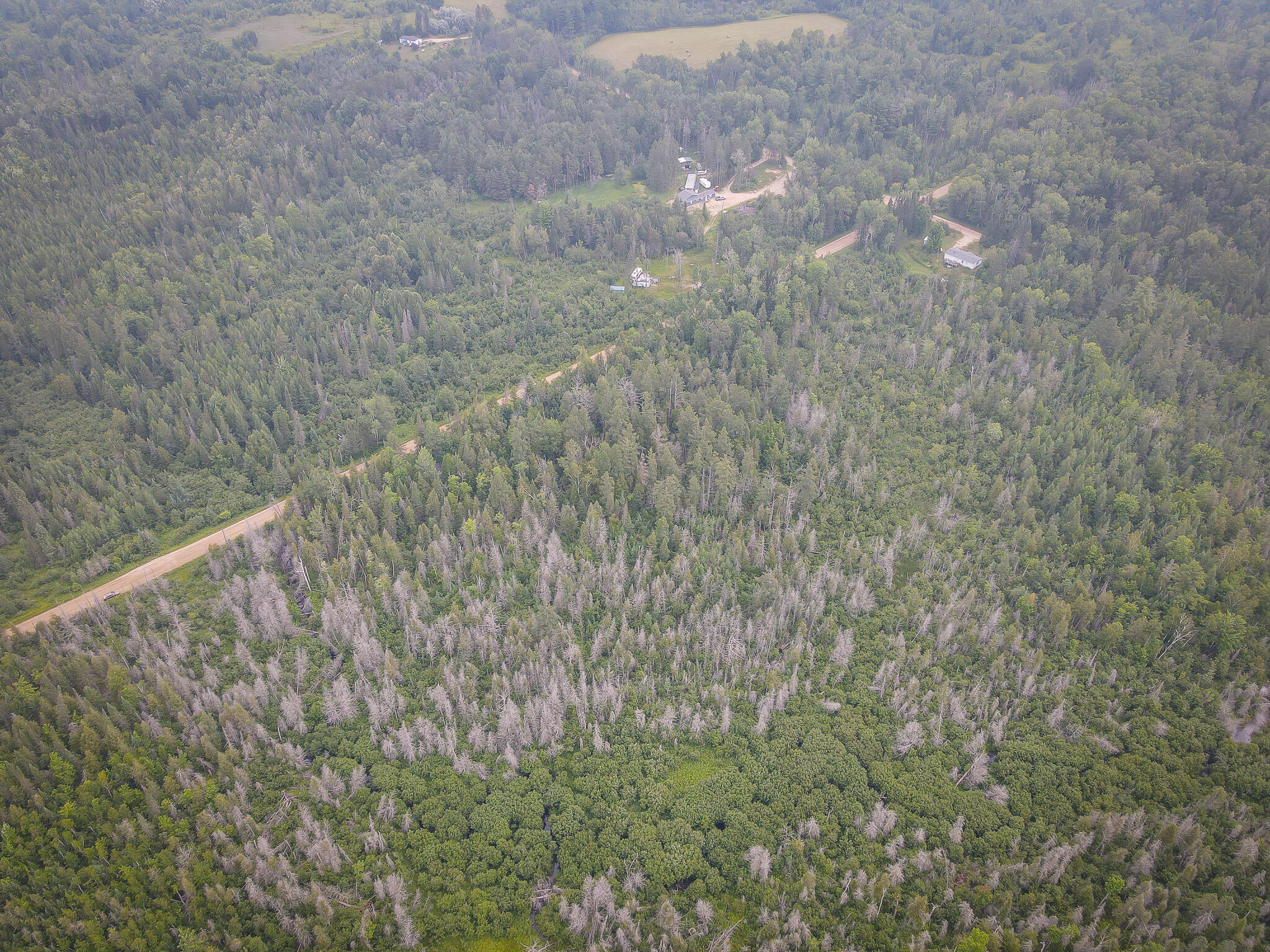 17185 21 Mile Road Tustin, MI 49688 - Photo 5 of 25 DJI_0185