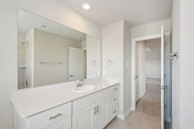 a bathroom with a sink a mirror and a shower