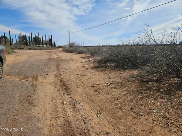 a view of a dry yard