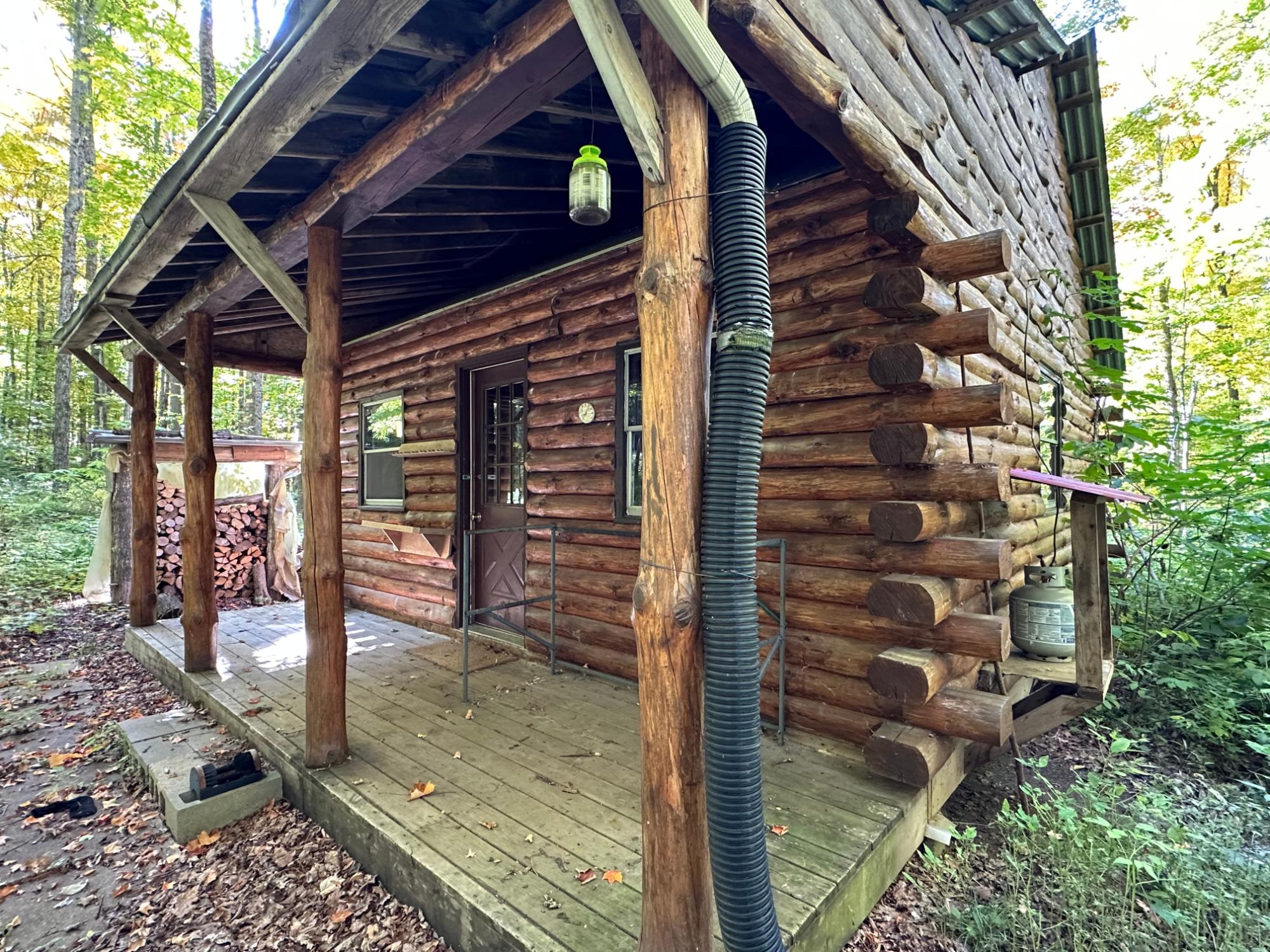 Off County Line Lake Road Watersmeet, MI 49969 - Photo 3 of 28 Gallery Image 3