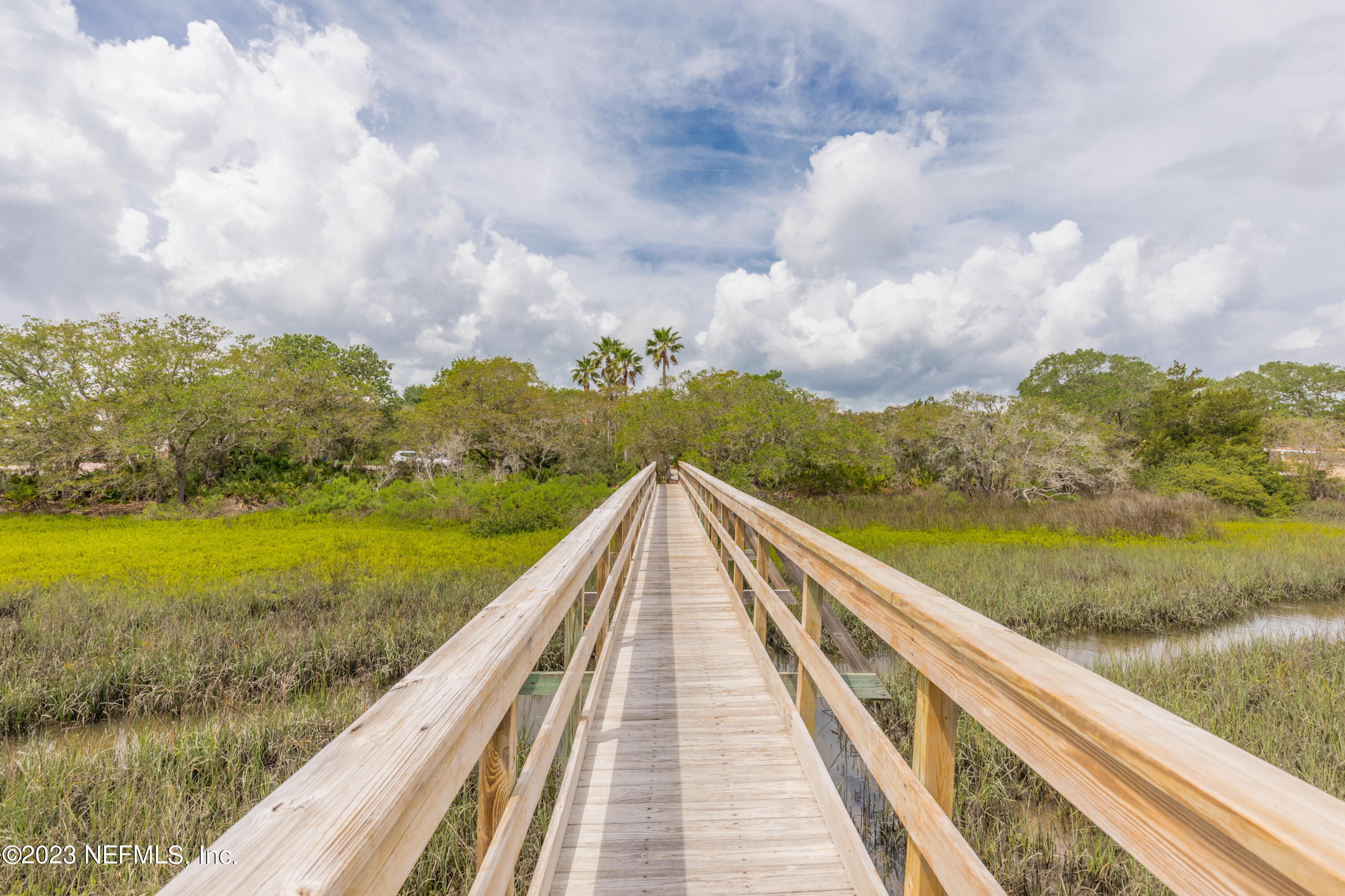 293 San Nicolas Way St. Augustine, FL 32080 - Photo 47 of 51 a view of lake and mountain