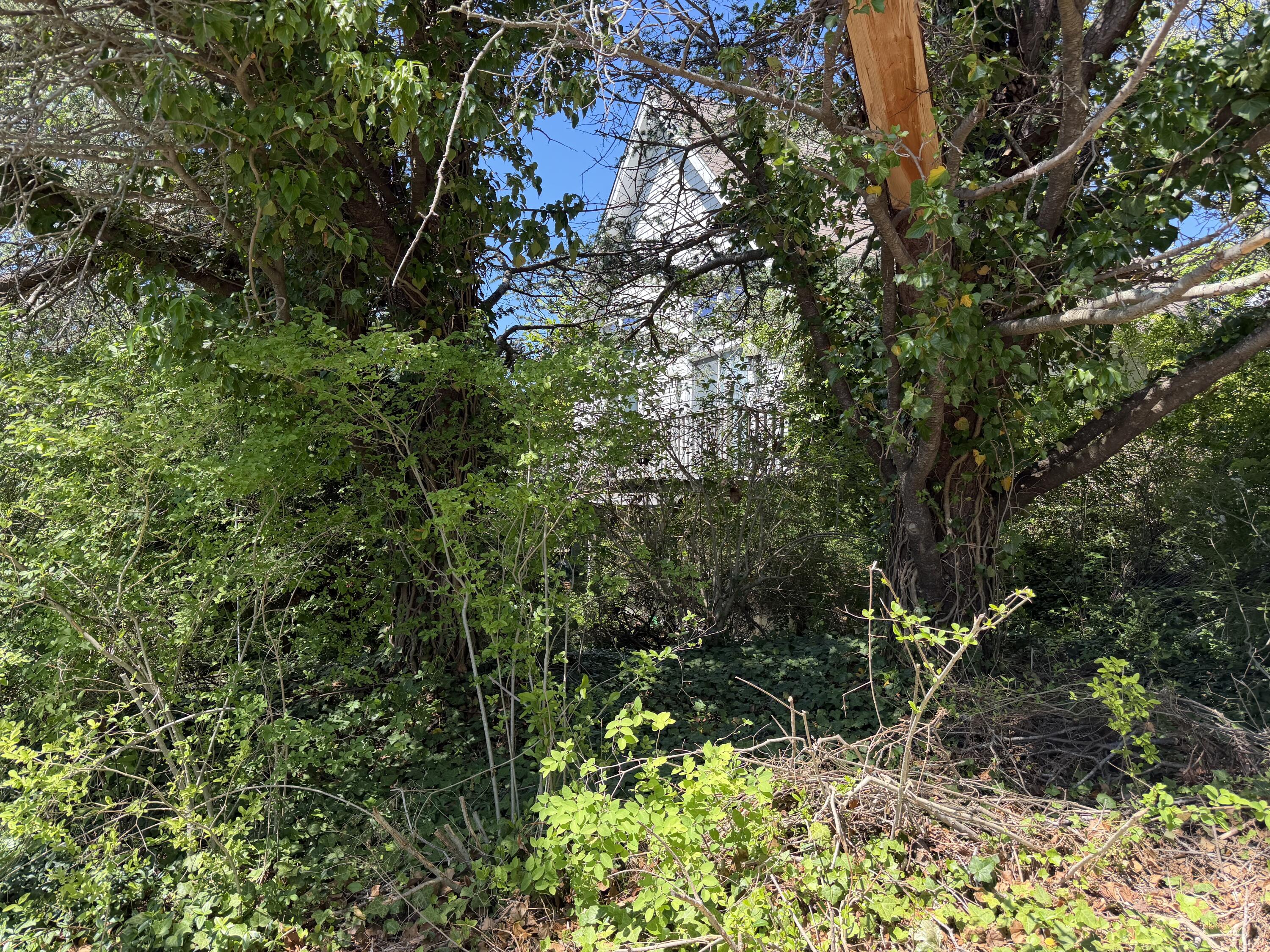 17 Miller Hill Road Provincetown, MA 02657 - Photo 9 of 9 Corner Lot